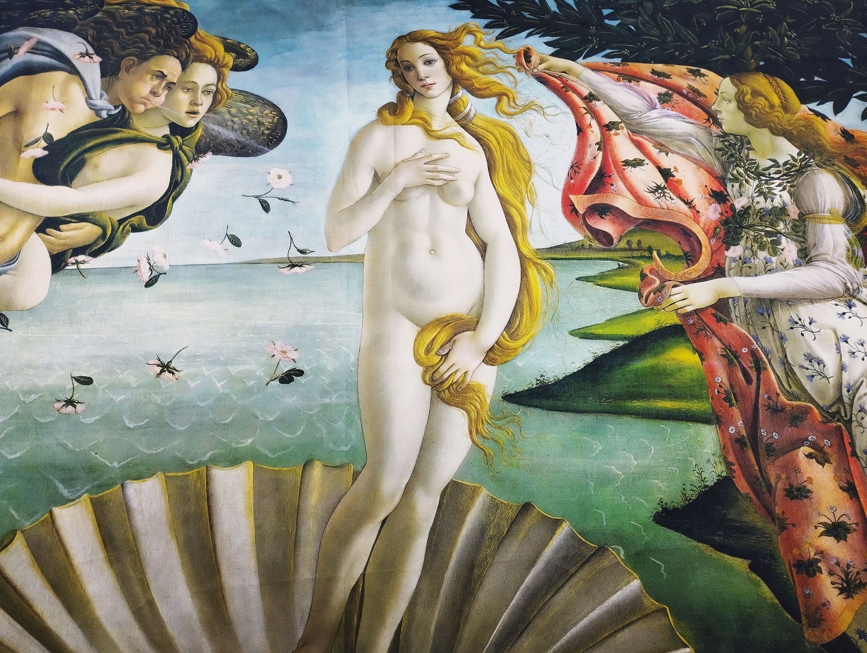 Ткань Хлопок  13269 1
