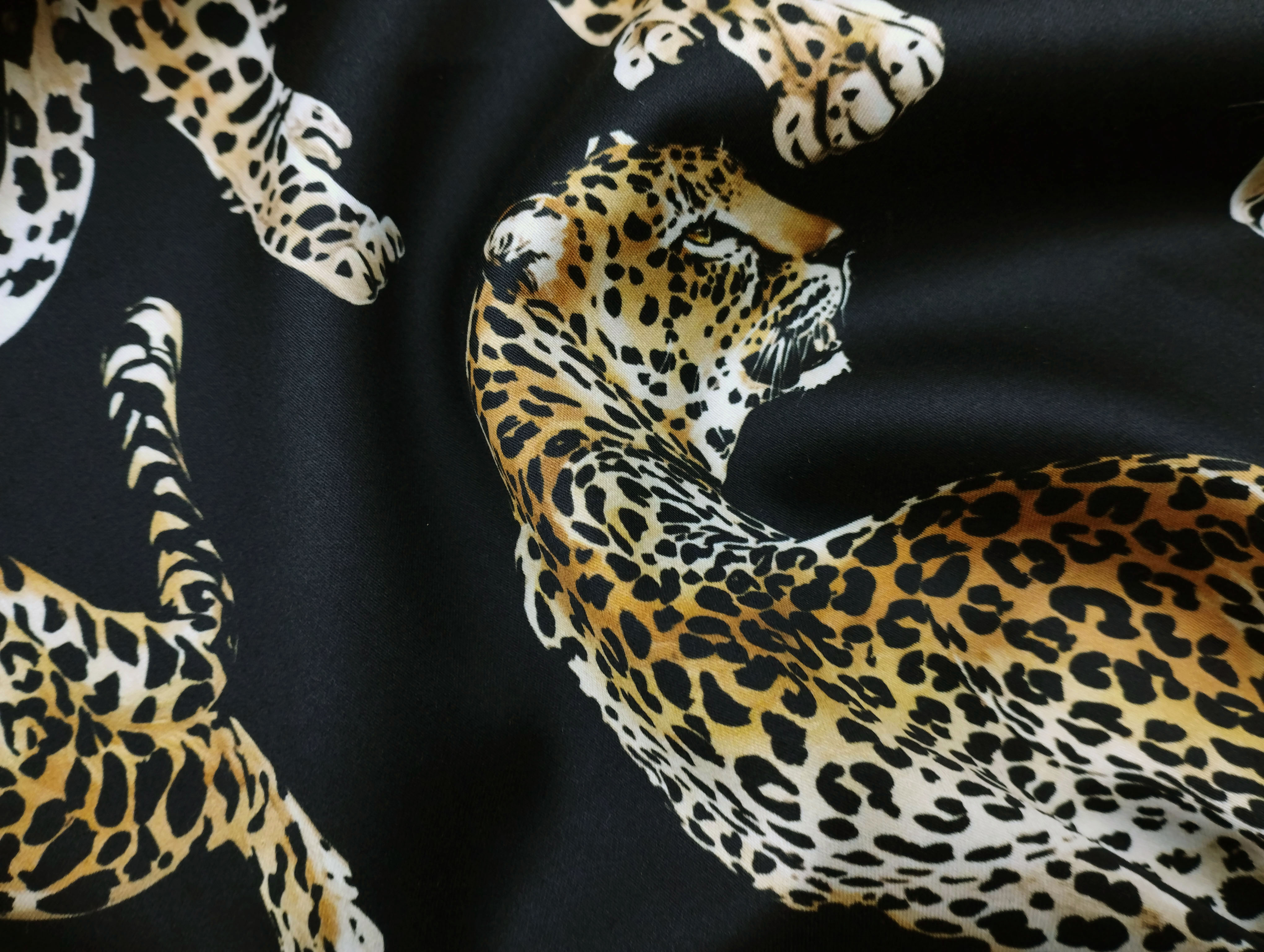 Ткань Хлопок  13434 3